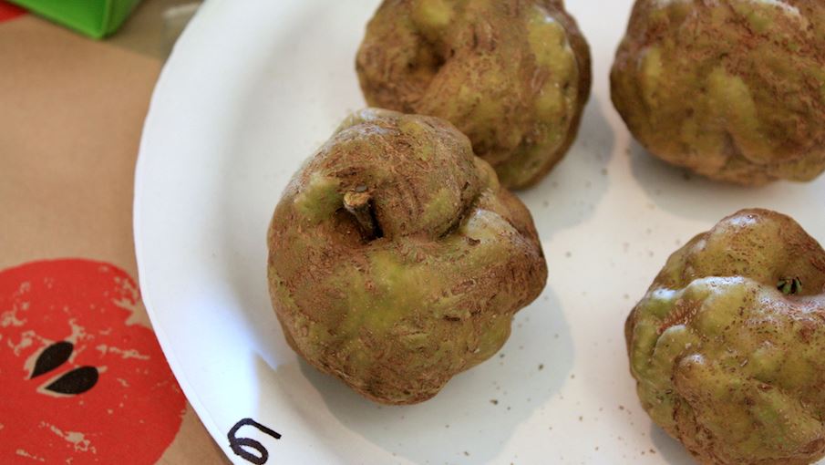 100 Most Popular European Fruits (types And Products) TasteAtlas