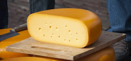 Gouda