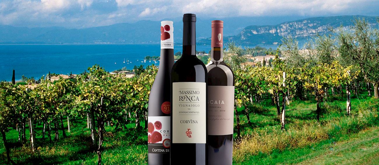 7 Most Popular Red Wines TasteAtlas