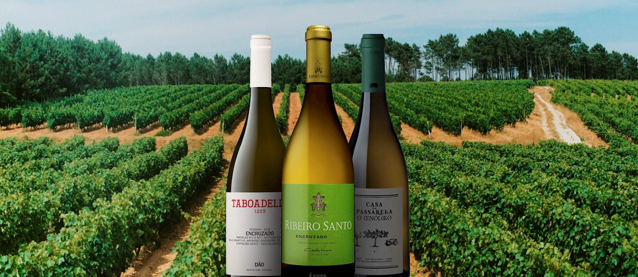 4 Best Wine Varieties in Viseu District TasteAtlas
