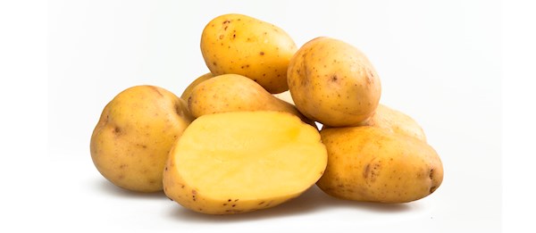 Diagramm mit Umsatzberechnung und Spielbeiträgen