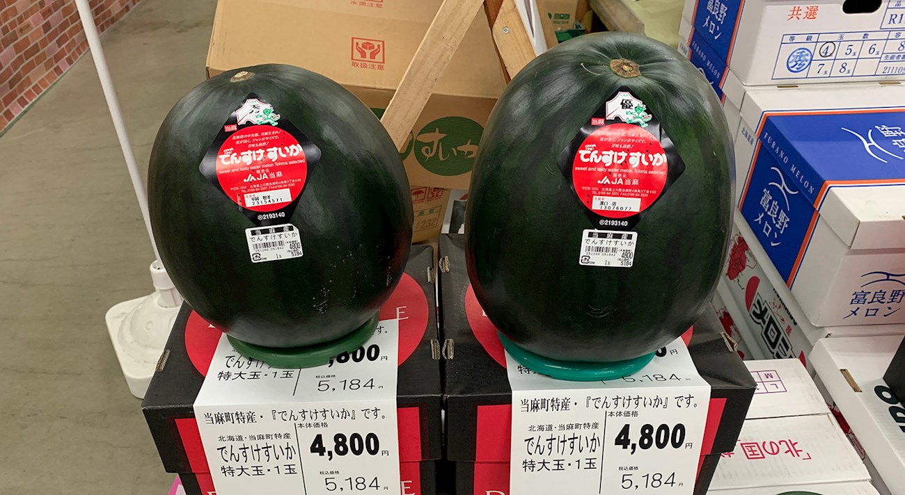 Densuke Watermelon Local Watermelon From Hokkaido Region, Japan