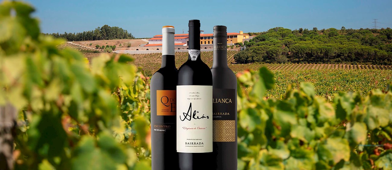 4 Best Red Wines in Portugal TasteAtlas