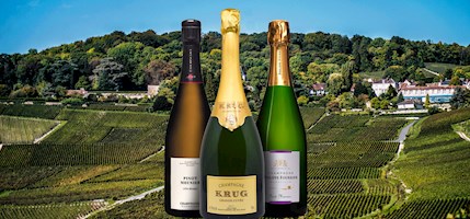 Pinot Meunier