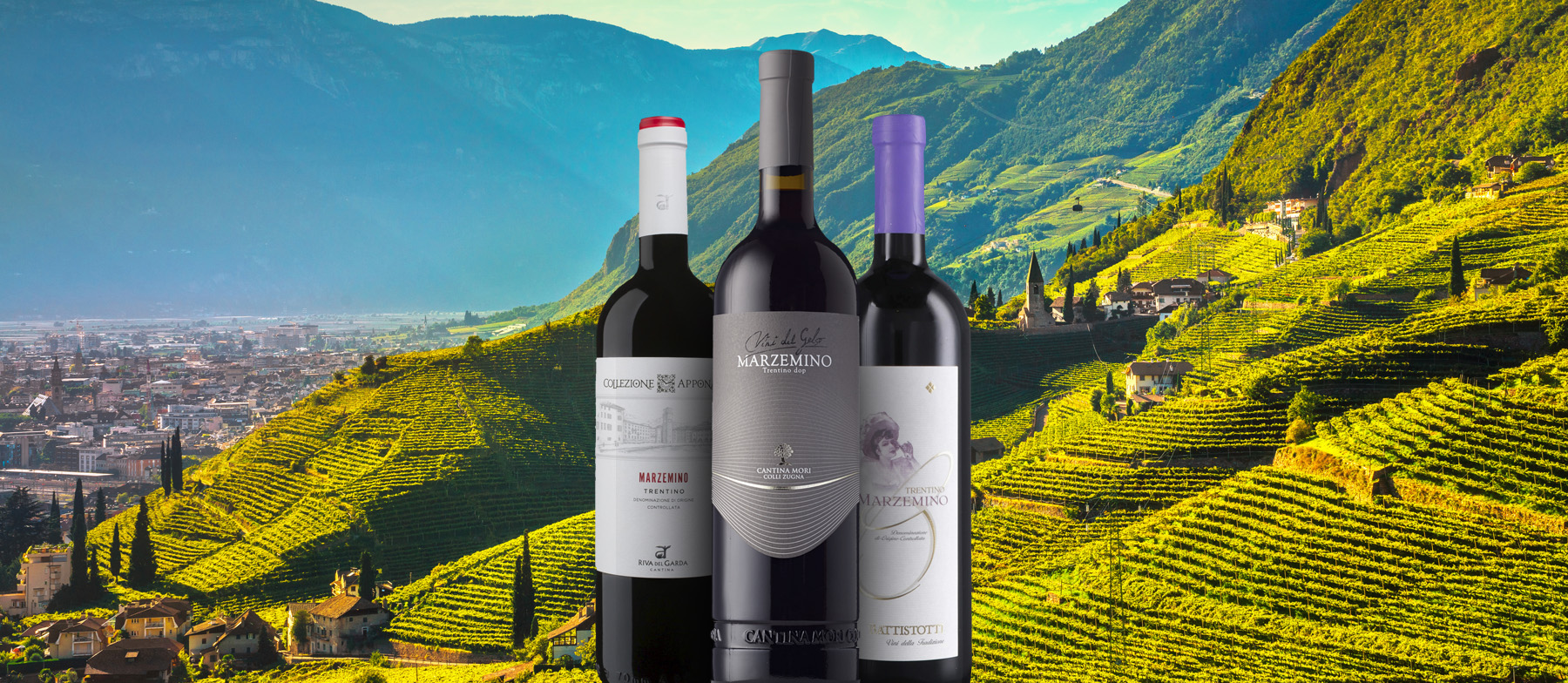 4 Best Wines (Varieties And Appellations) In Trentino - TasteAtlas