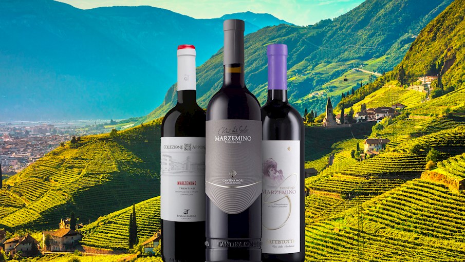 50 Most Popular Italian Red Wines Tasteatlas 