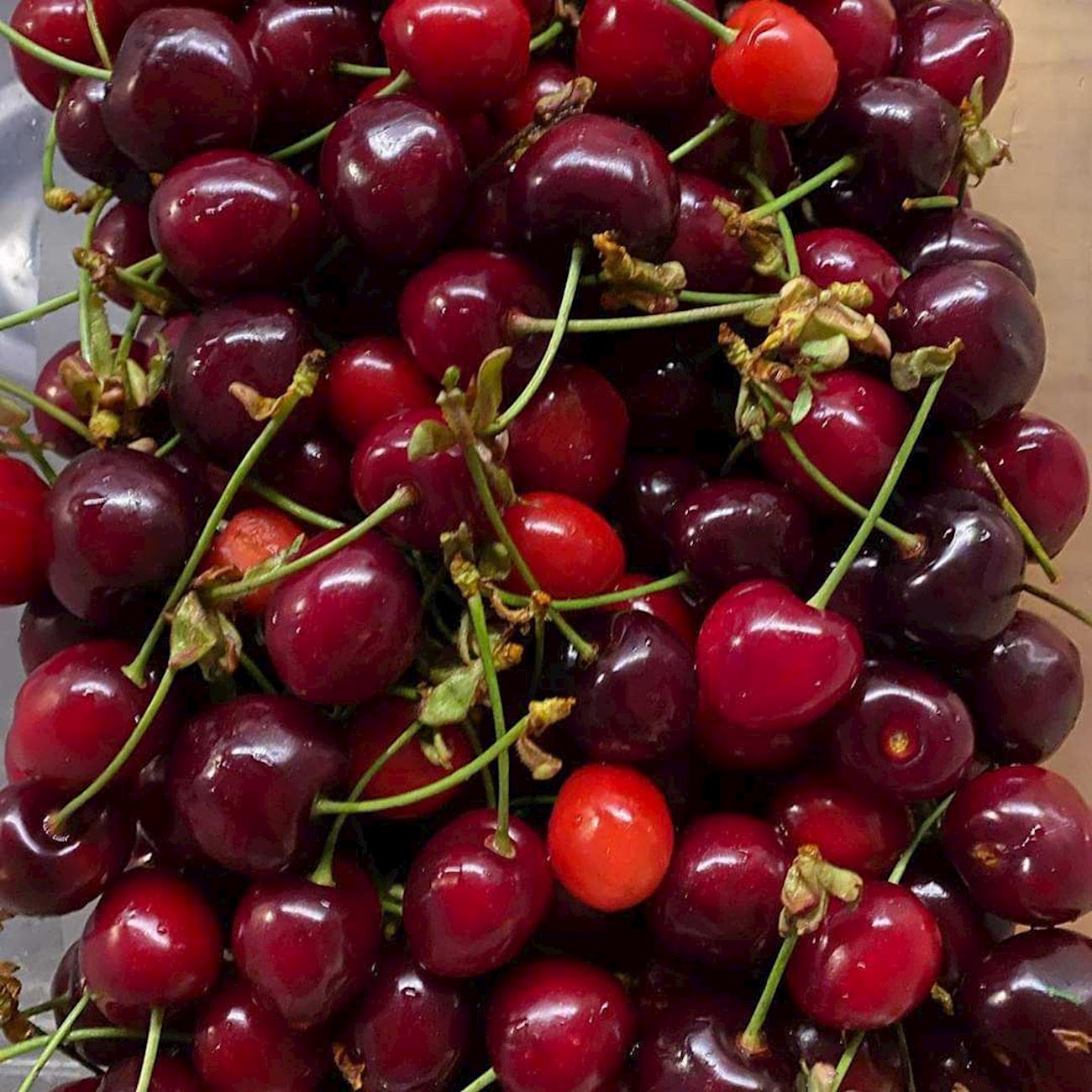 Lovranske Tre nje Local Cherry From Primorje And Lika Croatia lovranske-tre-nje-local-cherry-from-primorje-and-lika-croatia