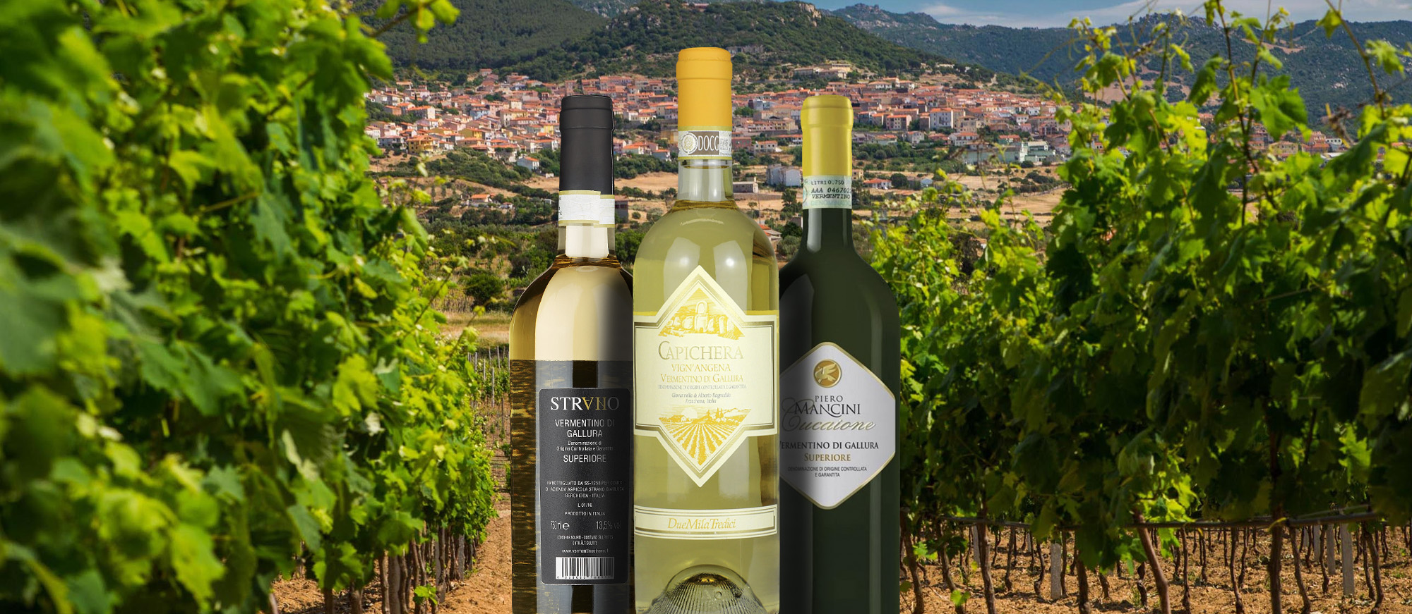 list of fruity wines