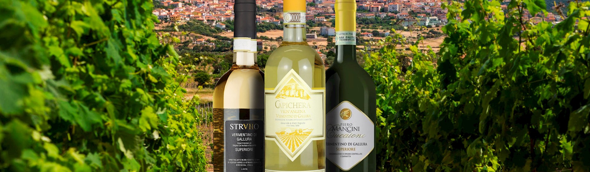 10 Most Popular Sardinian Wine Appellations - TasteAtlas, image size:1920x560