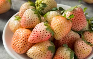 Pineberry