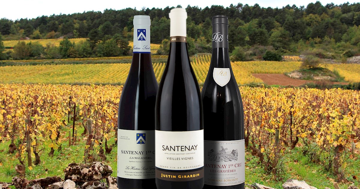 Santenay Rouge | Local Wine Appellation From Côte-d'Or, France