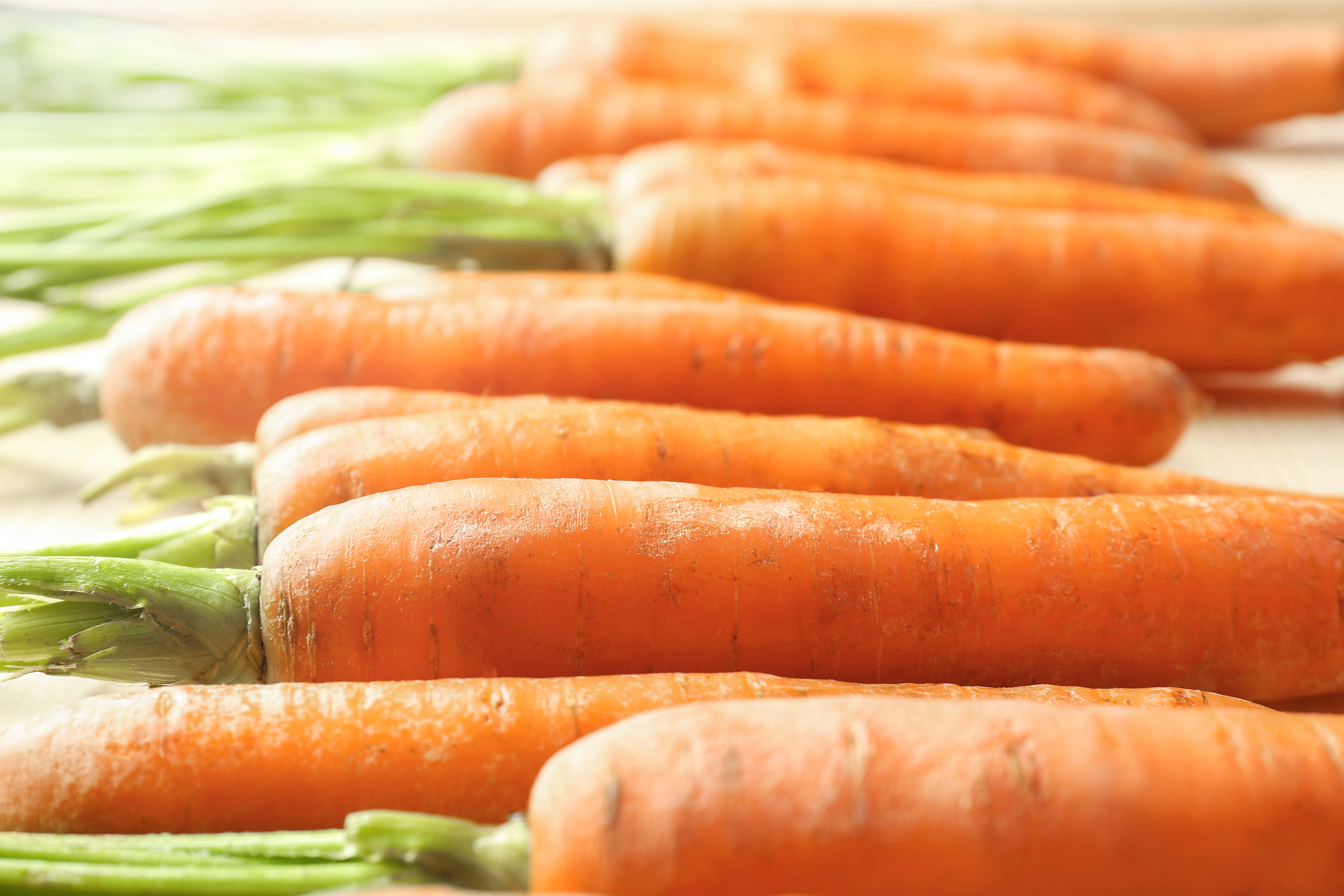 8 Most Popular European Carrots TasteAtlas