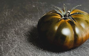 Black Krim