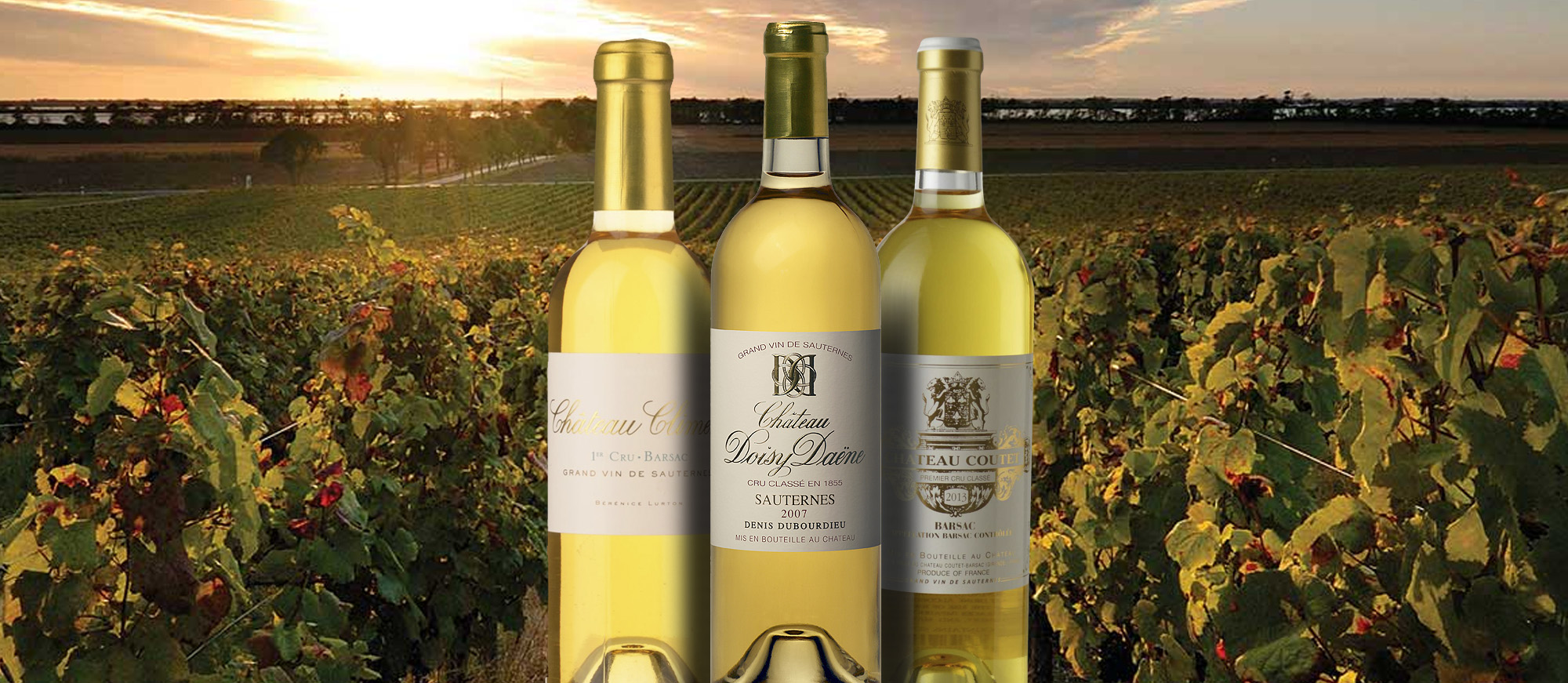 barsac-local-wine-appellation-from-gironde-france