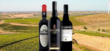 Marsala Superiore