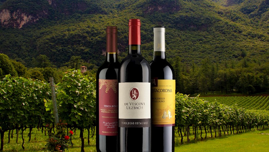 50 Most Popular Italian Red Wines TasteAtlas