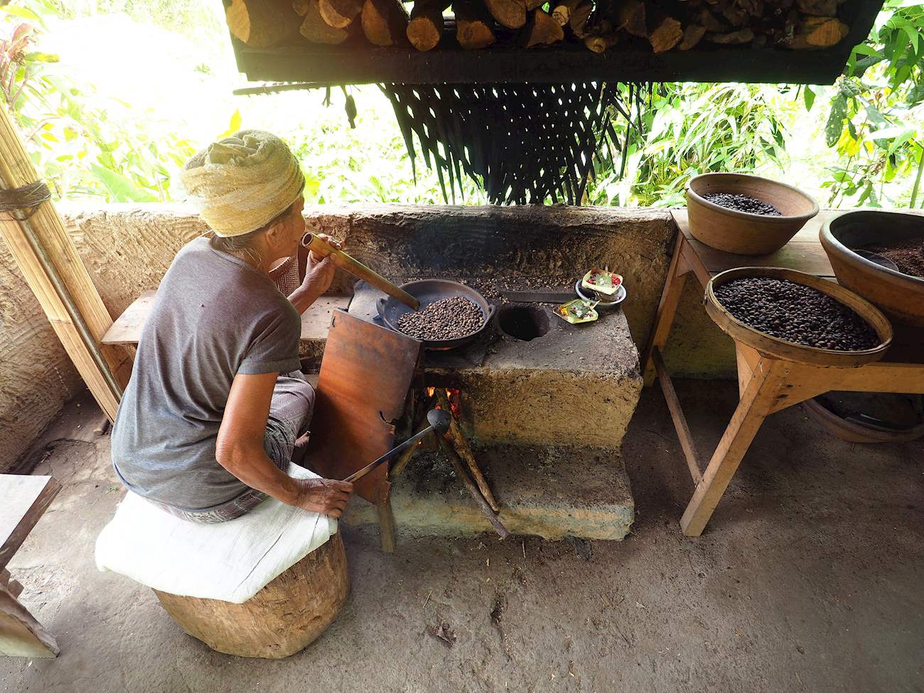 Kopi Luwak | Local Coffee (Beverage) From Indonesia, Southeast Asia