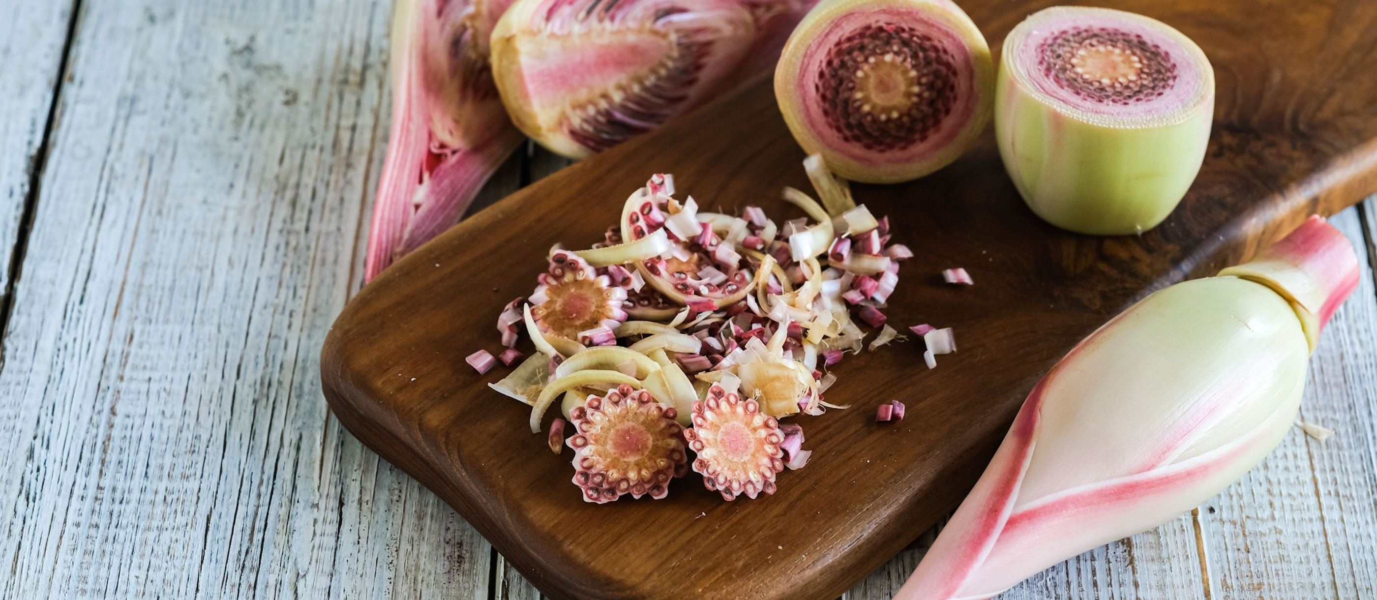 3種類のKecombrang_Bwang-Rawit Kecombrang | Local Flower From Indonesia, Southeast Asia