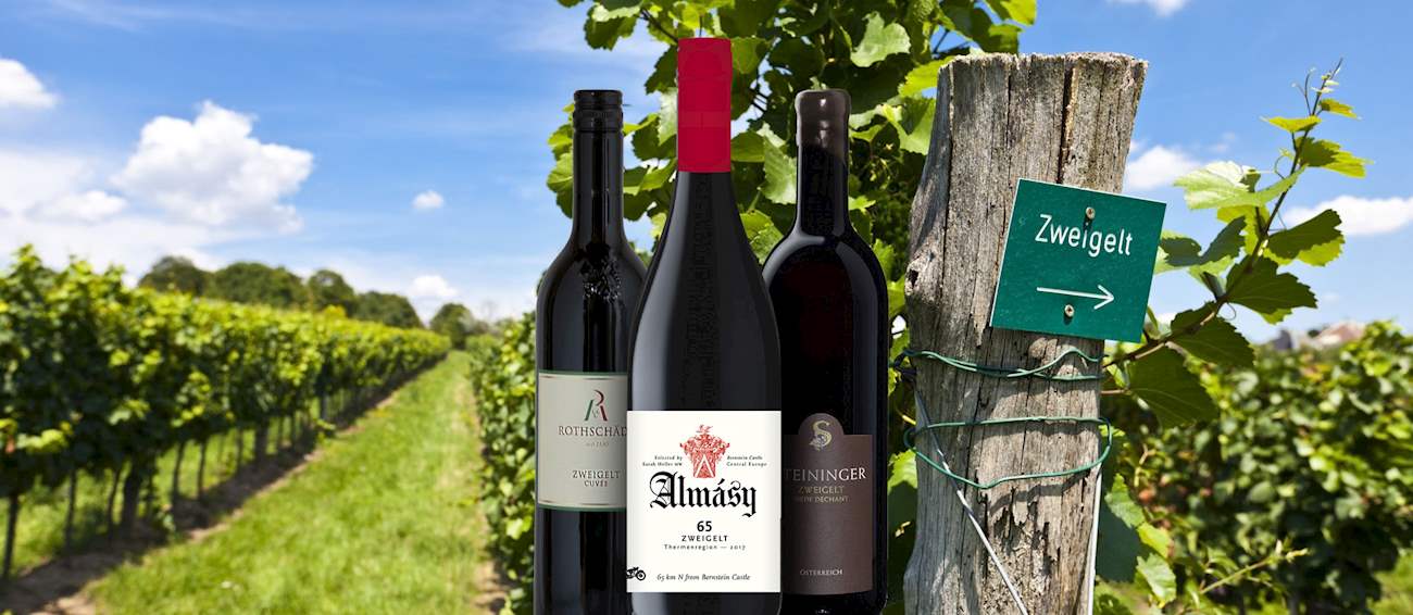 10 Most Popular Central European Red Wines
