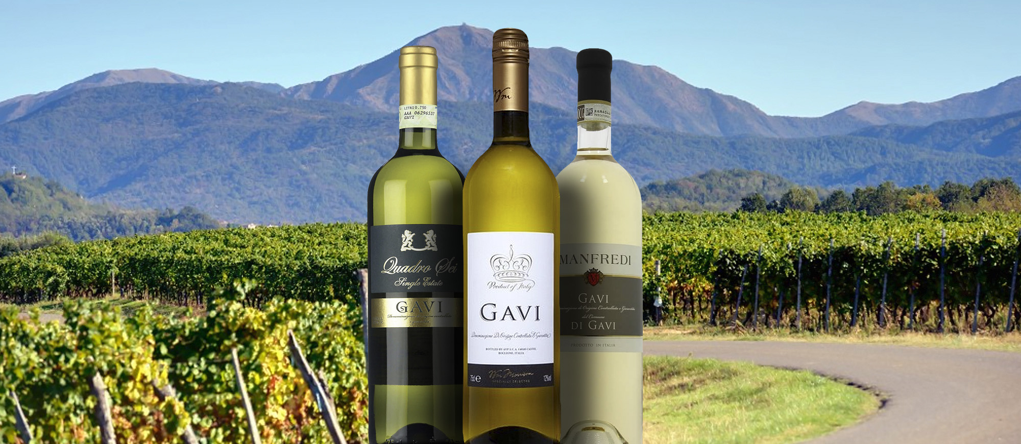Gavi Local Wine Appellation From Province Of Alessandria Italy