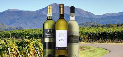 Gavi