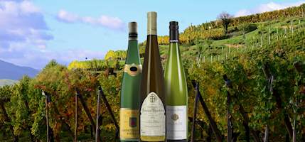 Gewurztraminer d'Alsace