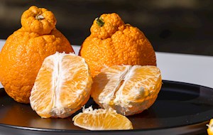 Dekopon