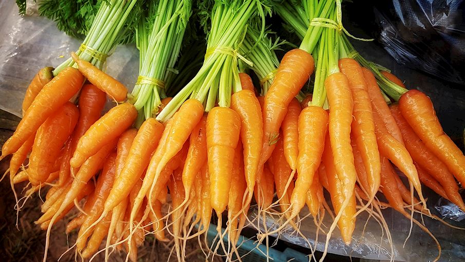 7 Most Popular European Root Vegetables TasteAtlas