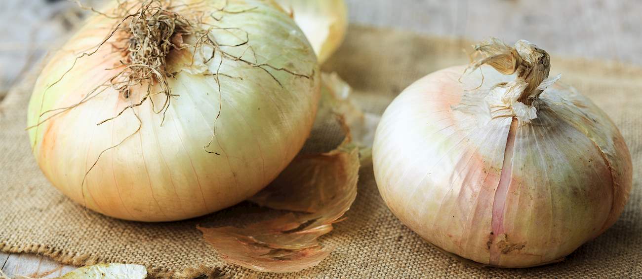 5 Most Popular Italian Onions TasteAtlas