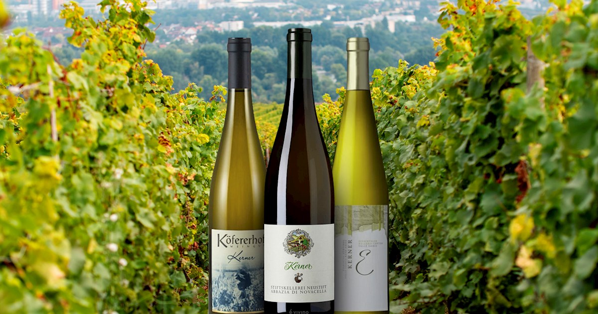 Kerner | Local Wine Variety From Germany, Central Europe