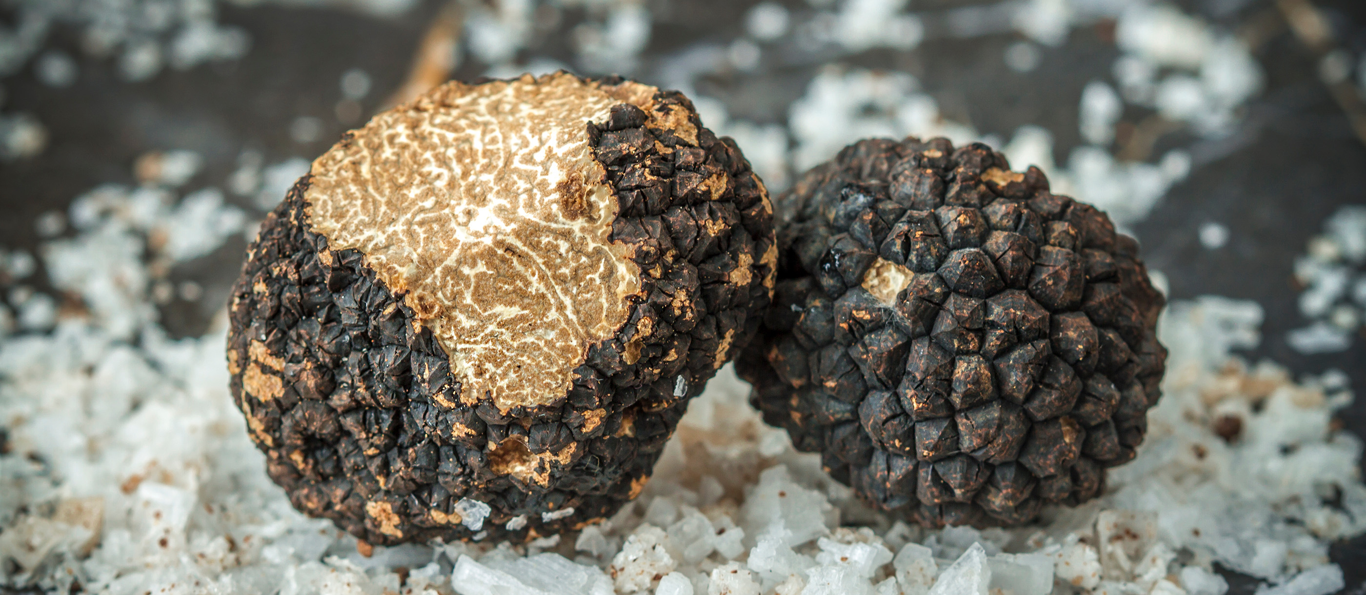 Black Summer Truffle | Local Truffle From Italy