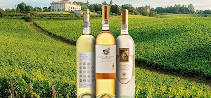 Romagna Albana