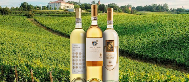 Emilian White Wines: 4 White Wine Types in Emilia-Romagna | TasteAtlas