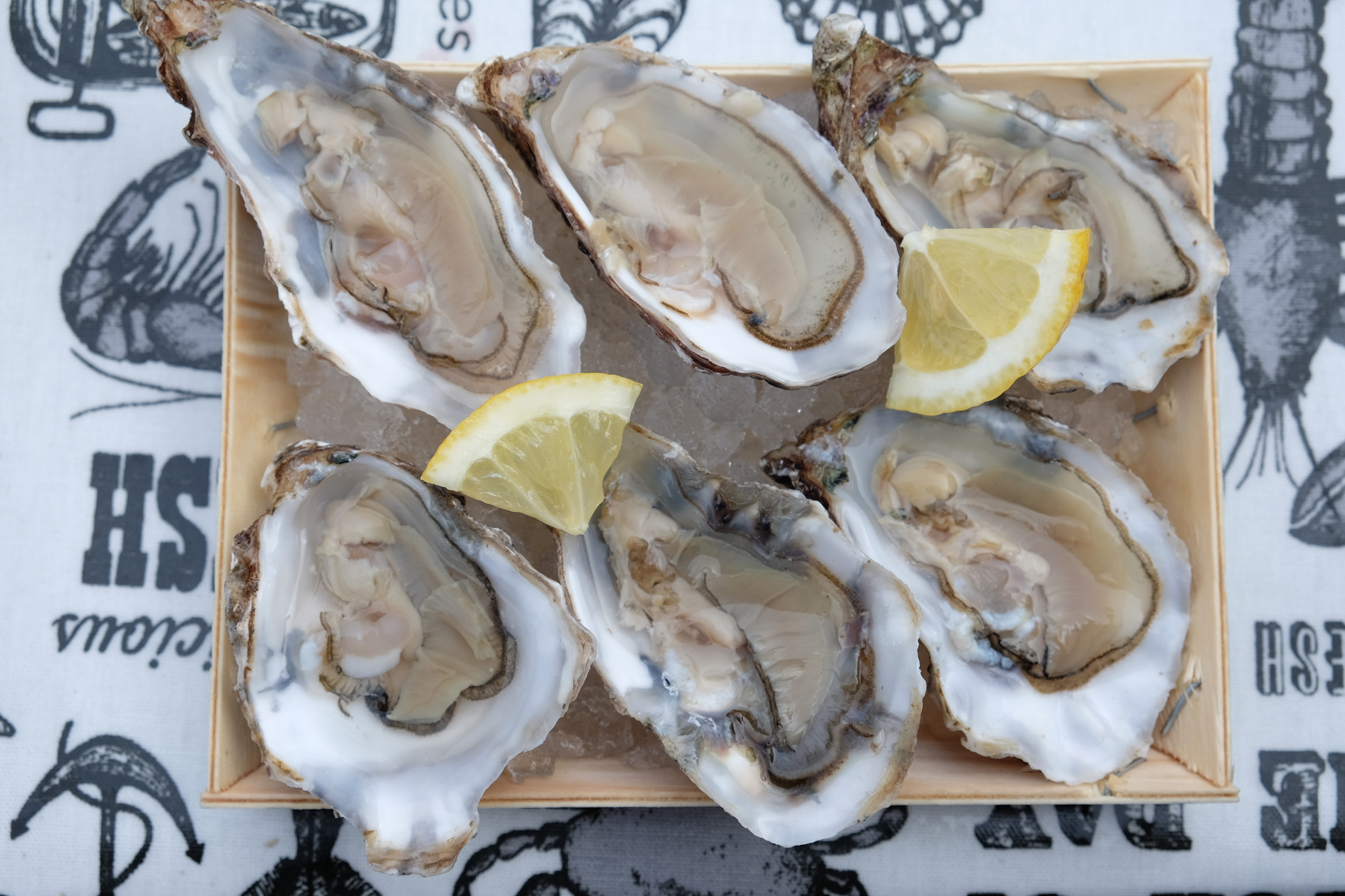 Maldon Rock Oysters Local Rock Oysters From Maldon, England