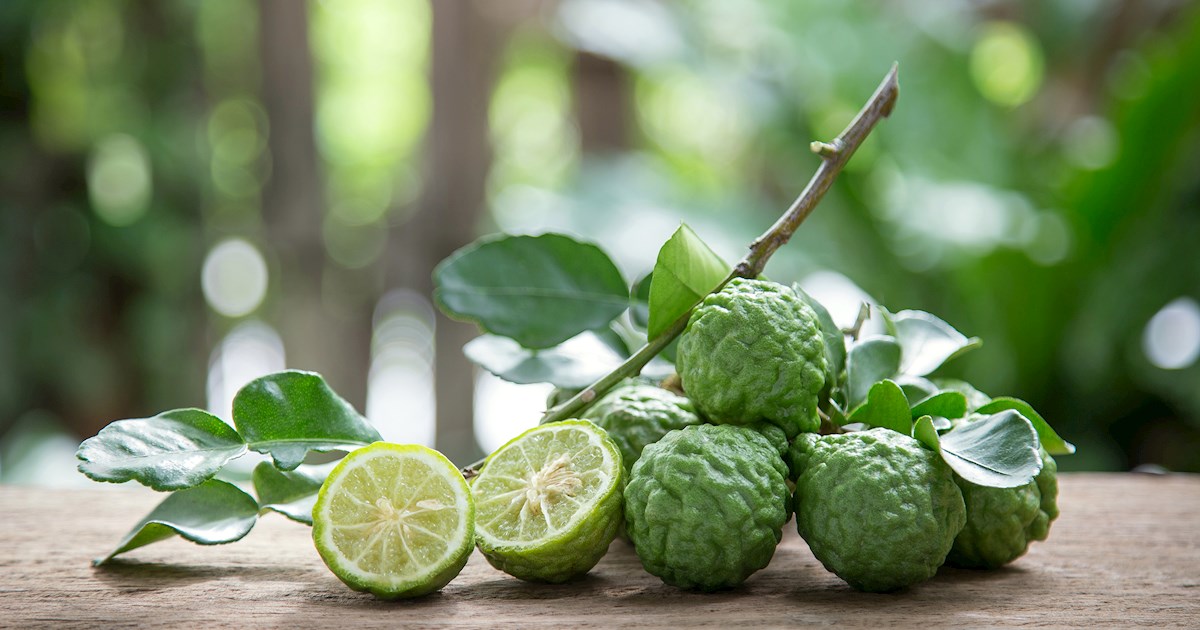 Citrus Fruits of the World 35 Citrus Fruit Types TasteAtlas