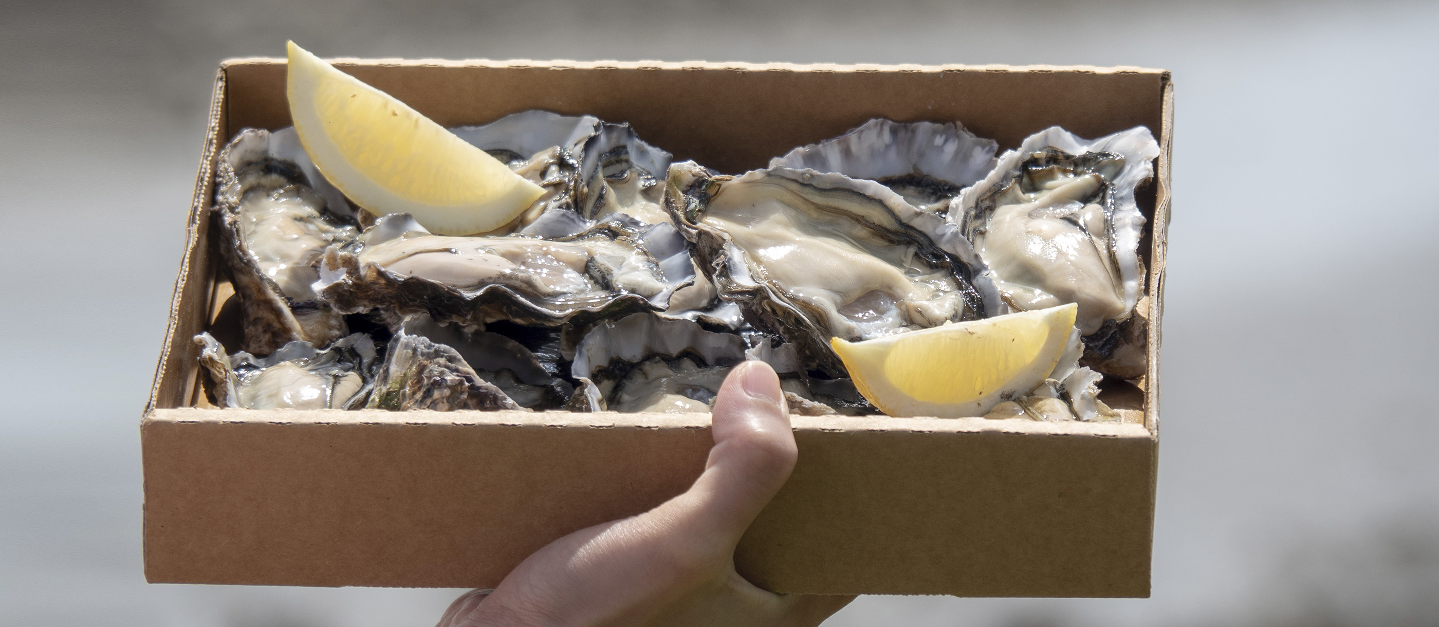 Most Popular Oysters in The World TasteAtlas