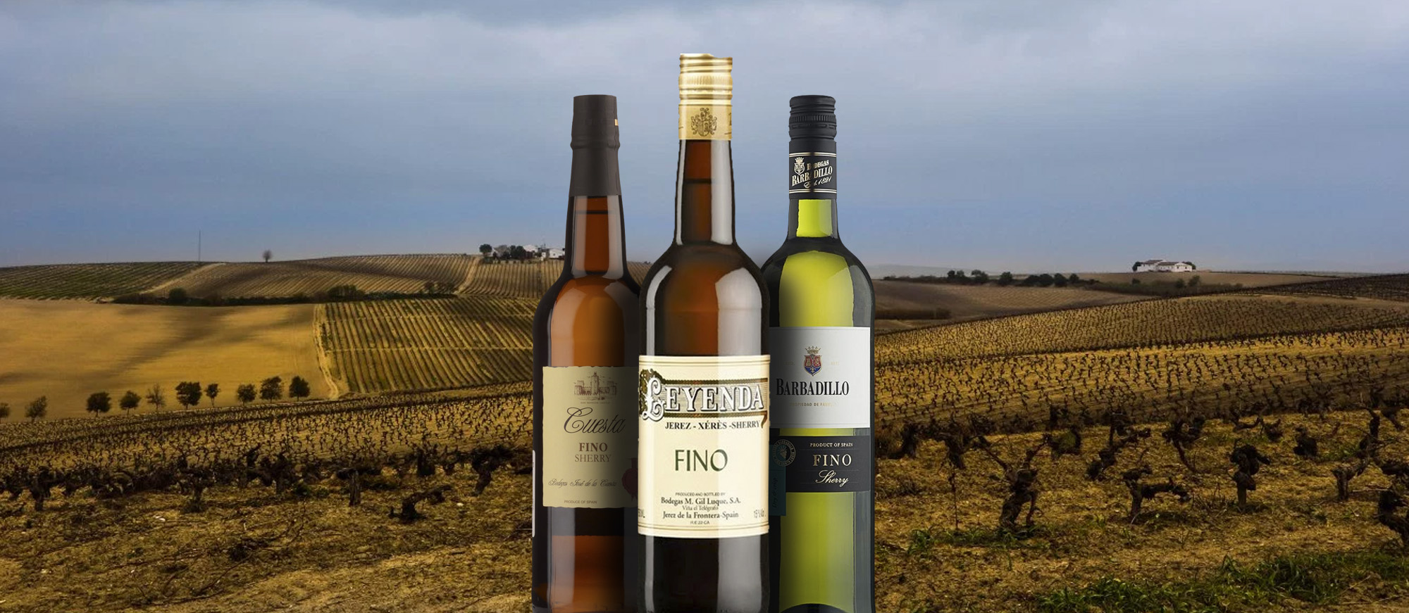 Fino | Local Fortified Wine From Province of Cádiz, Spain