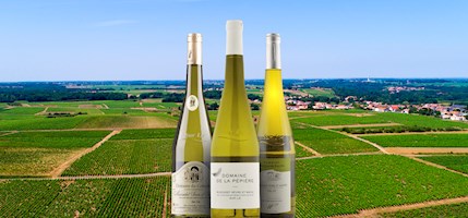 Muscadet Sèvre et Maine