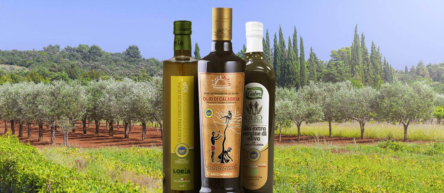 Olio di Calabria | Local Olive Oil From Calabria, Italy