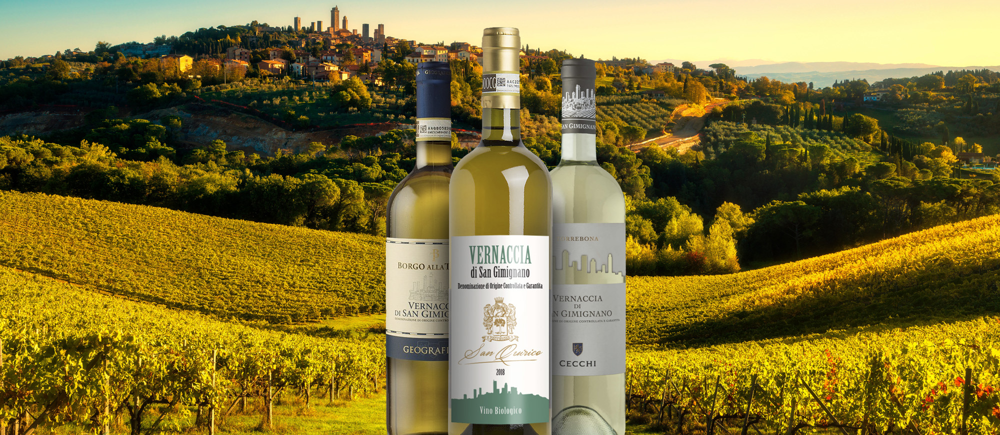 wine tasting tour san gimignano