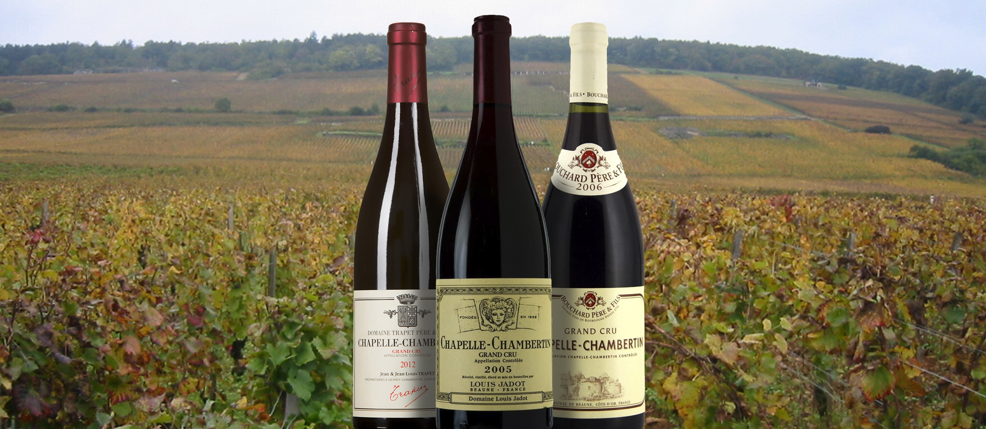 Chapelle-Chambertin | Local Wine Appellation From Côte-d'Or, France