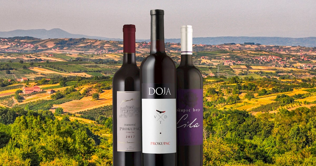 3 Best Wine Varieties in Serbia TasteAtlas