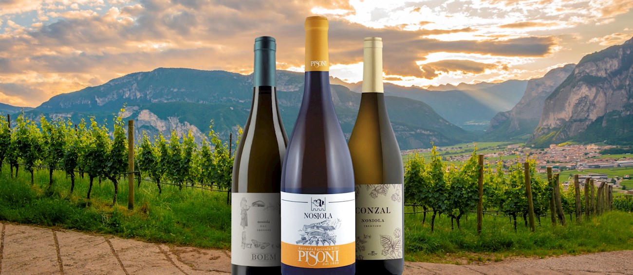 3 Most Popular Trentino White Wines TasteAtlas