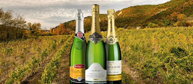 Sparkling Wines of the World: 49 Sparkling Wine Types | TasteAtlas