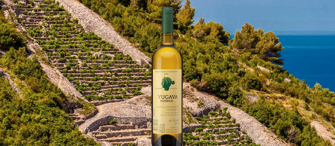 5 Most Popular Local Wine Varieties in Split-Dalmatia County