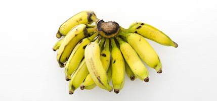 Manzano banana