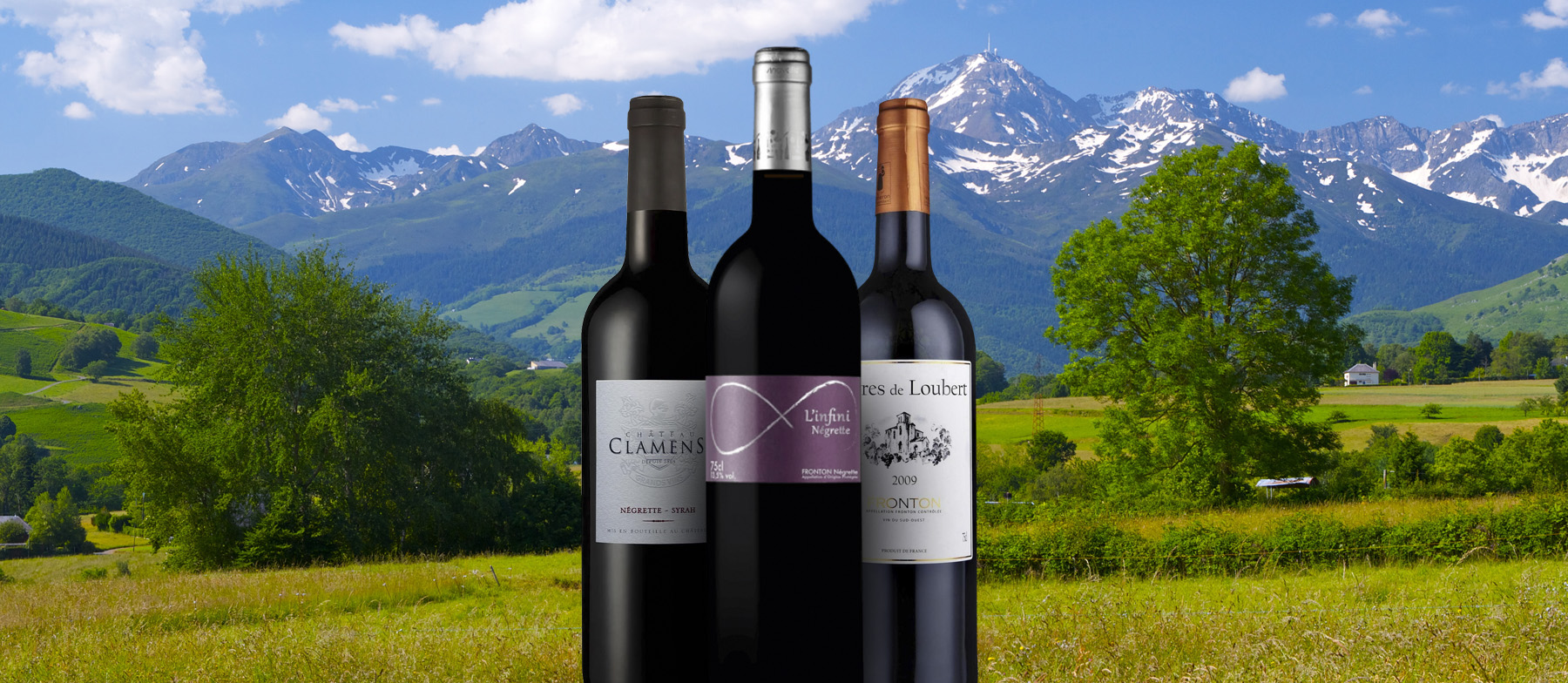 Négrette Local Wine Variety From HauteGaronne, France