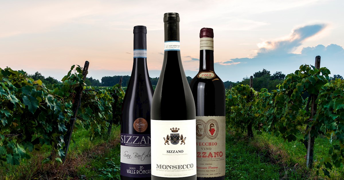 Sizzano | Local Wine Appellation From Province of Novara, Italy