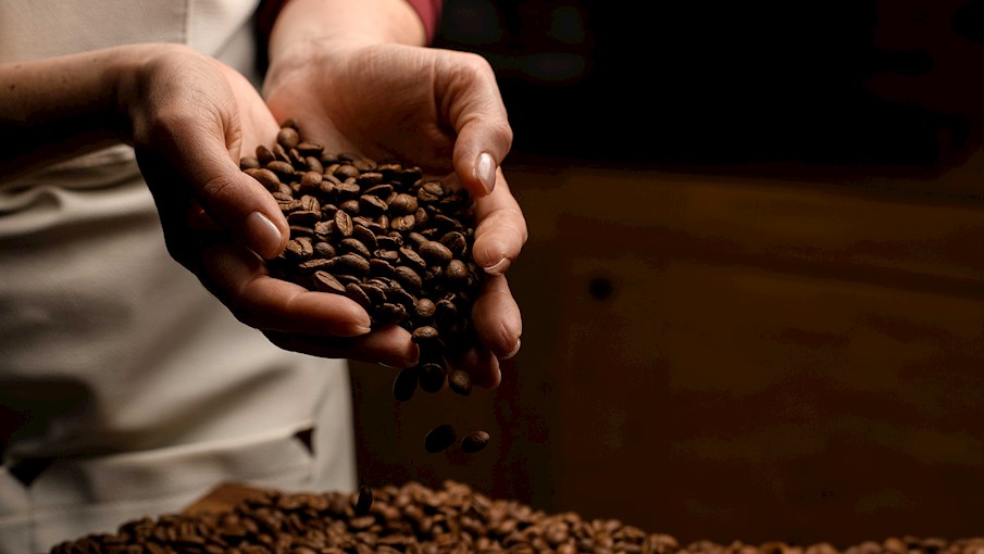 4 Best Coffee Beans in Africa TasteAtlas