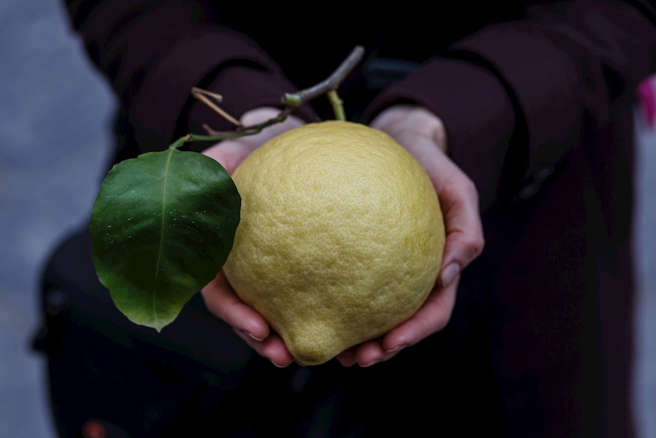 10 Most Popular Italian Citrus Fruits